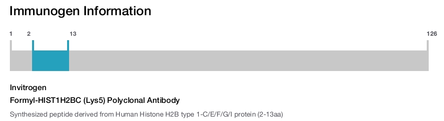 Formyl-HIST1H2BC (Lys5) Polyclonal Antibody