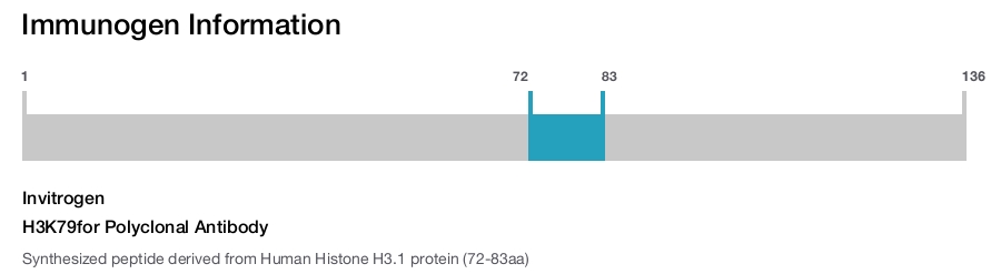 H3K79for Polyclonal Antibody