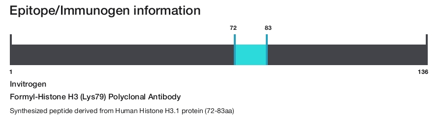 Formyl-Histone H3 (Lys79) Polyclonal Antibody