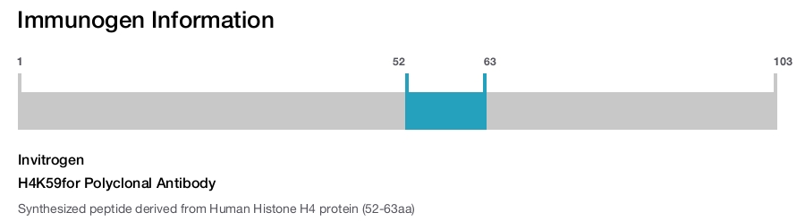 H4K59for Polyclonal Antibody