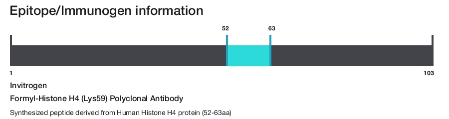 Formyl-Histone H4 (Lys59) Polyclonal Antibody