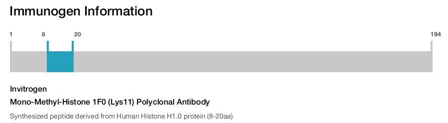 Mono-Methyl-Histone 1F0 (Lys11) Polyclonal Antibody