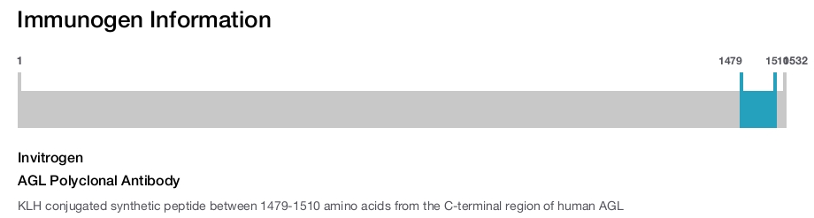 AGL Polyclonal Antibody