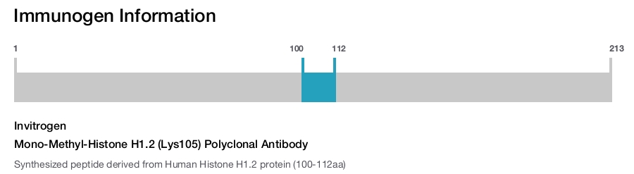Mono-Methyl-Histone H1.2 (Lys105) Polyclonal Antibody
