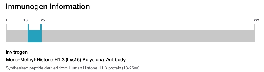 Mono-Methyl-Histone H1.3 (Lys16) Polyclonal Antibody