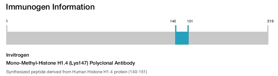 Mono-Methyl-Histone H1.4 (Lys147) Polyclonal Antibody