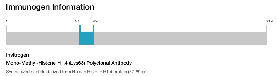 Mono-Methyl-Histone H1.4 (Lys63) Polyclonal Antibody