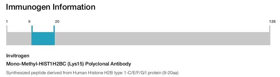 Mono-Methyl-HIST1H2BC (Lys15) Polyclonal Antibody