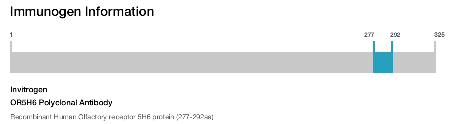 OR5H6 Polyclonal Antibody
