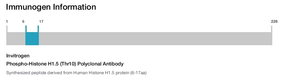 Phospho-Histone H1.5 (Thr10) Polyclonal Antibody