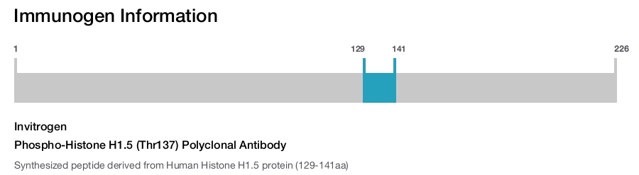 Phospho-Histone H1.5 (Thr137) Polyclonal Antibody