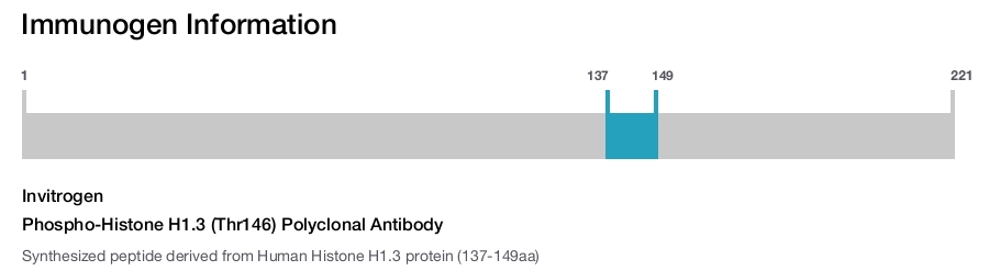 Phospho-Histone H1.3 (Thr146) Polyclonal Antibody