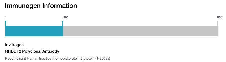 RHBDF2 Polyclonal Antibody