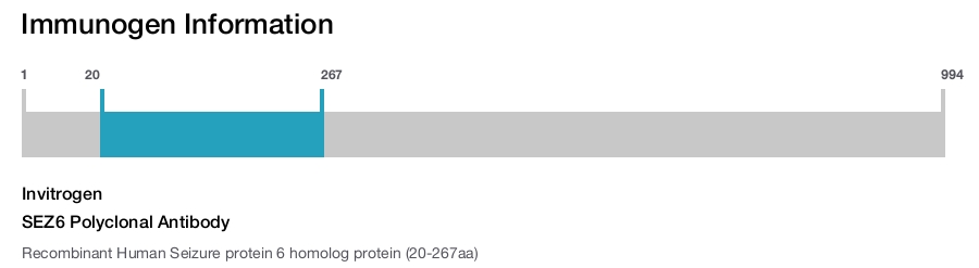 SEZ6 Polyclonal Antibody