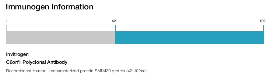 C6orf1 Polyclonal Antibody