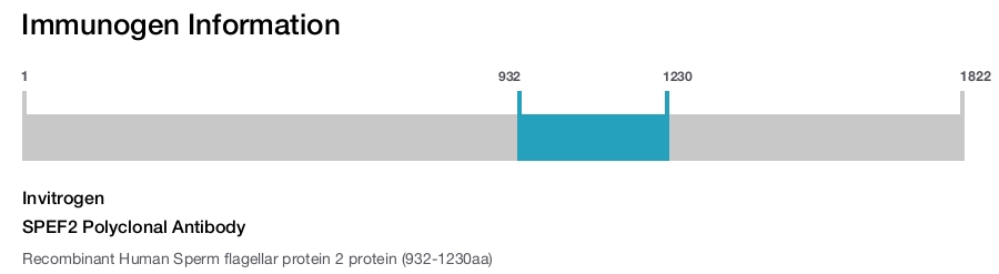 SPEF2 Polyclonal Antibody