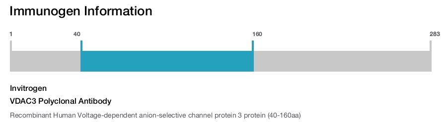 VDAC3 Polyclonal Antibody