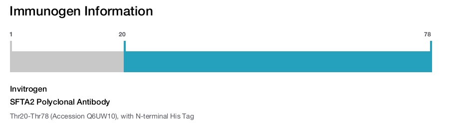 SFTA2 Polyclonal Antibody