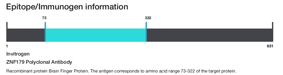 ZNF179 Polyclonal Antibody