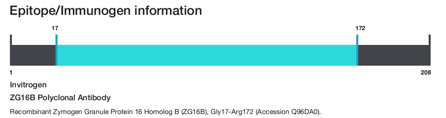 ZG16B Polyclonal Antibody