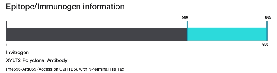XYLT2 Polyclonal Antibody