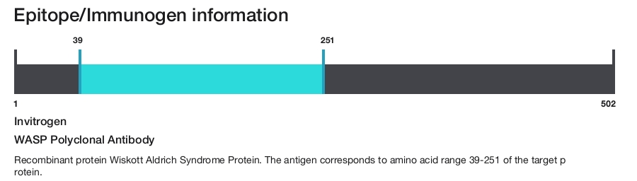 WASP Polyclonal Antibody