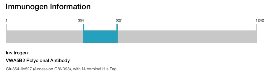 VWA5B2 Polyclonal Antibody