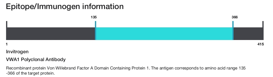 VWA1 Polyclonal Antibody