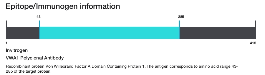 VWA1 Polyclonal Antibody