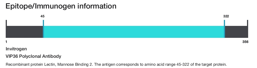VIP36 Polyclonal Antibody