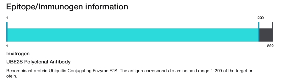 UBE2S Polyclonal Antibody