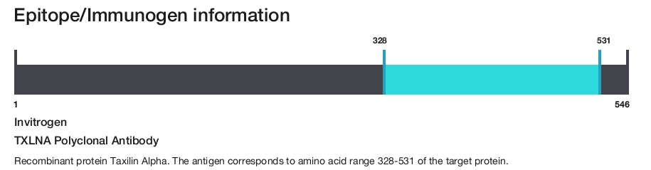 TXLNA Polyclonal Antibody