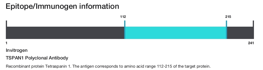 TSPAN1 Polyclonal Antibody
