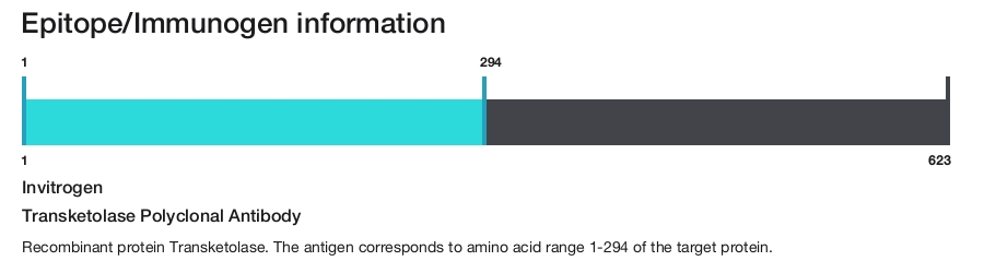 Transketolase Polyclonal Antibody