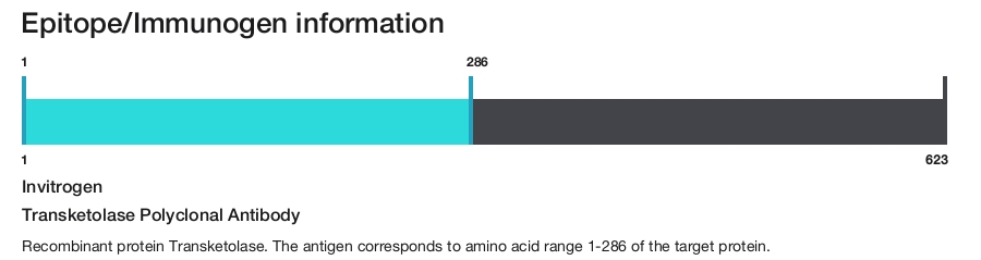Transketolase Polyclonal Antibody
