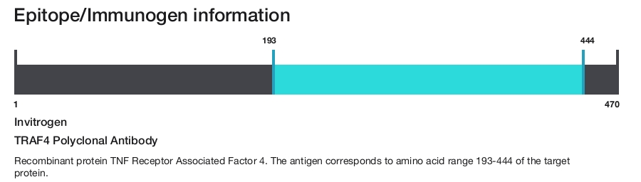 TRAF4 Polyclonal Antibody