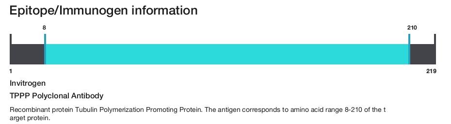 TPPP Polyclonal Antibody