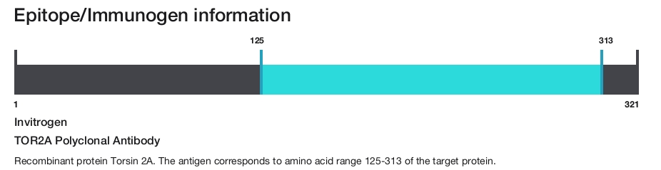 TOR2A Polyclonal Antibody