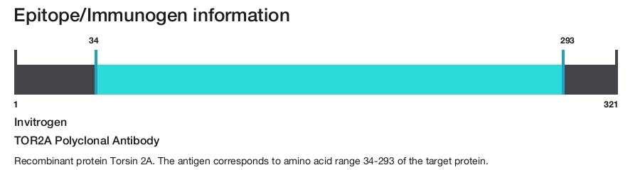TOR2A Polyclonal Antibody