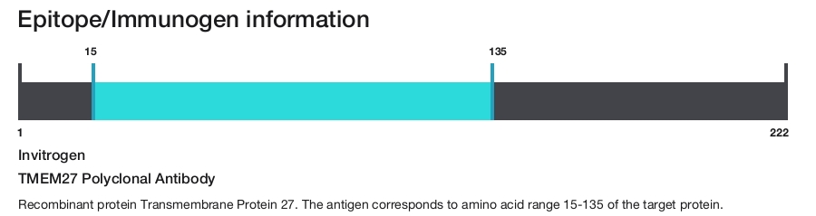 TMEM27 Polyclonal Antibody
