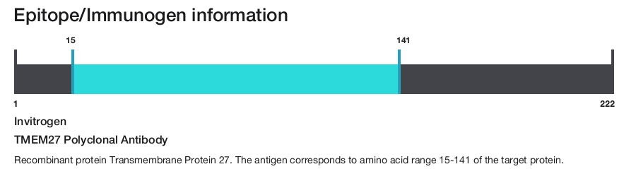 TMEM27 Polyclonal Antibody