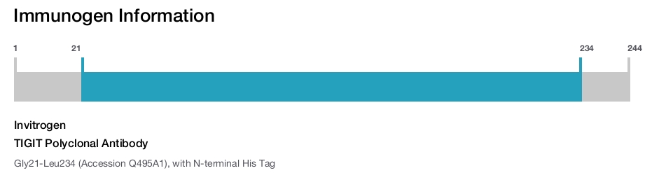TIGIT Polyclonal Antibody