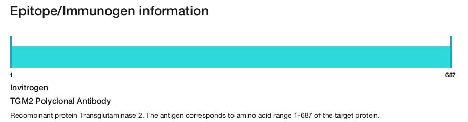 TGM2 Polyclonal Antibody