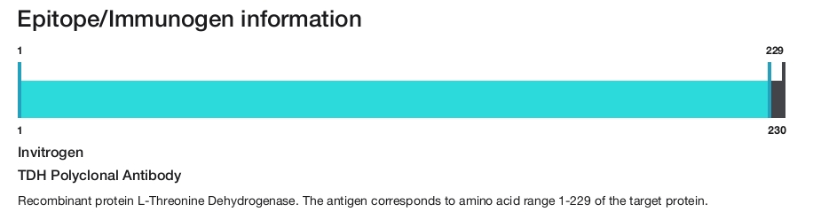 TDH Polyclonal Antibody