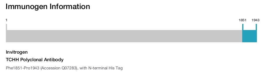 TCHH Polyclonal Antibody