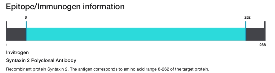 Syntaxin 2 Polyclonal Antibody