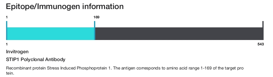 STIP1 Polyclonal Antibody