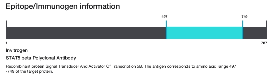 STAT5 beta Polyclonal Antibody