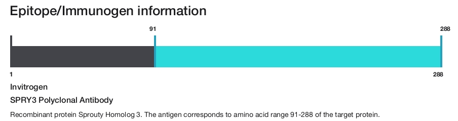 SPRY3 Polyclonal Antibody