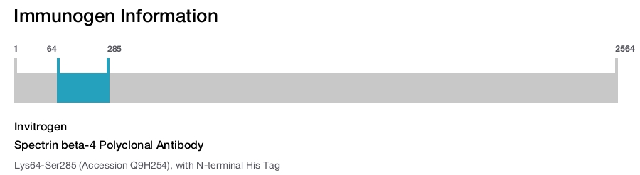 Spectrin beta-4 Polyclonal Antibody